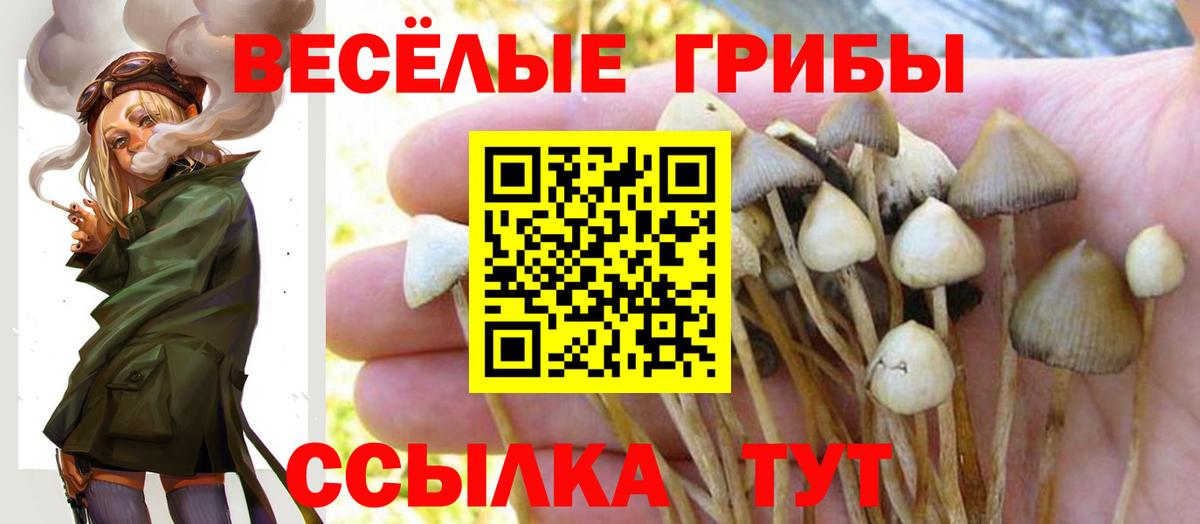 Магадан  Галлюциногенные грибы Cubensis  Вход с VPN  Псилоцибиновые грибы MAGIC MUSHROOMS 